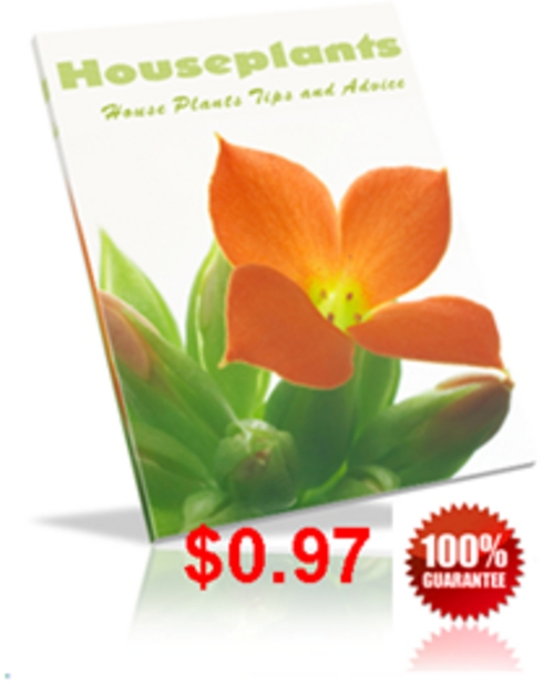 Product picture Houseplants