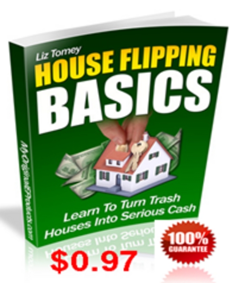 Product picture House Flipping Basics